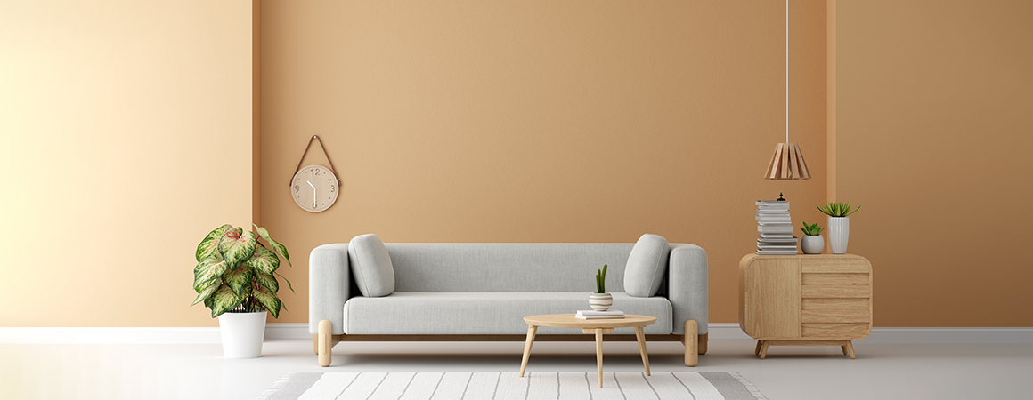 متازوم - Metazom